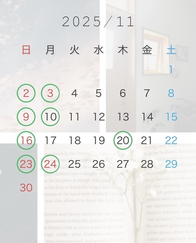 11月の定休日⭐️