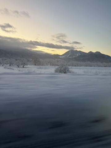 新潟の本気☃️